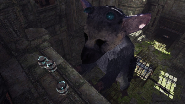 The Last Guardian: Последний хранитель [PS4, русские субтитры] в Нальчике