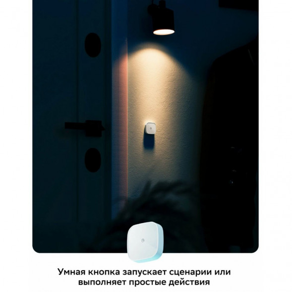 Умная кнопка Sber SBDV-00032 в Нальчике