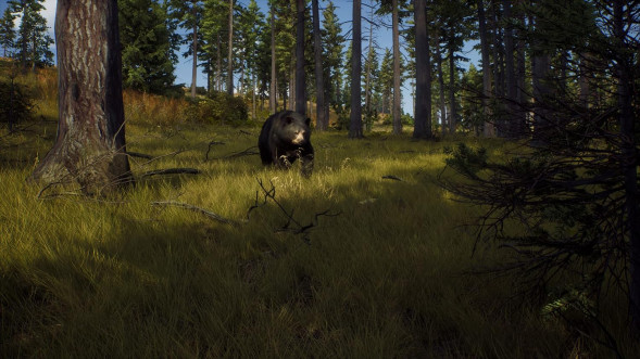 Игра Way of the Hunter [PS5, русские субтитры] в Нальчике