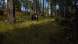 Игра Way of the Hunter [PS5, русские субтитры] в Нальчике