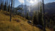 Игра Way of the Hunter [PS5, русские субтитры] в Нальчике