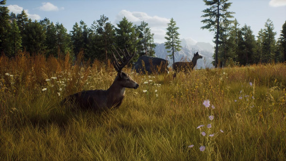 Игра Way of the Hunter [PS5, русские субтитры] в Нальчике