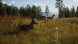 Игра Way of the Hunter [PS5, русские субтитры] в Нальчике