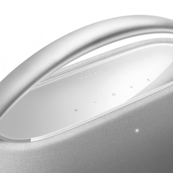 Портативная акустика Harman/Kardon Go + Play 3, серый в Нальчике