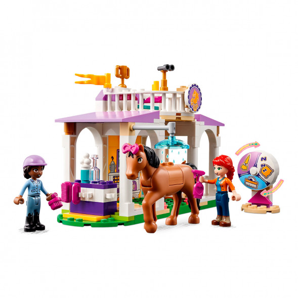 Конструктор LEGO Friends 41746 Horse Training в Нальчике
