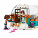 Конструктор LEGO Friends 41760 Праздничное приключение в иглу в Нальчике