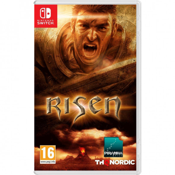 Игра Risen [Nintendo Switch, русская версия] в Нальчике