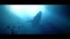 Игра Under The Waves [PS4, русские субтитры] в Нальчике
