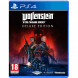 Игра Wolfenstein Youngblood Deluxe Edition [PS4, русская версия] в Нальчике
